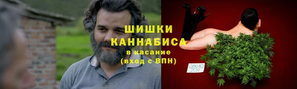 молекула духа Михайловск