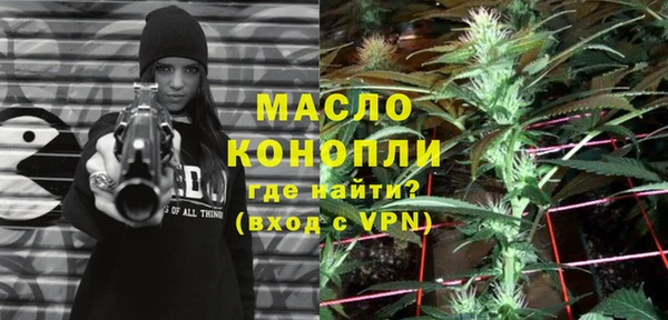 молекула духа Михайловск