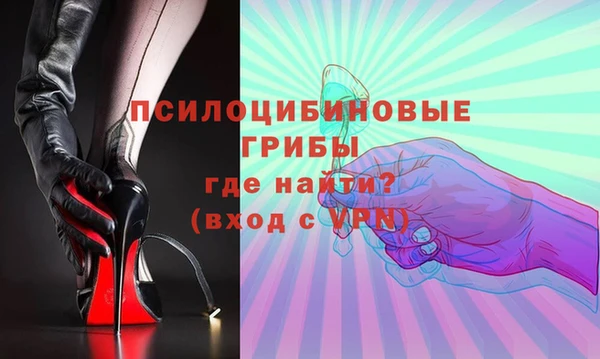 гидра Михайлов